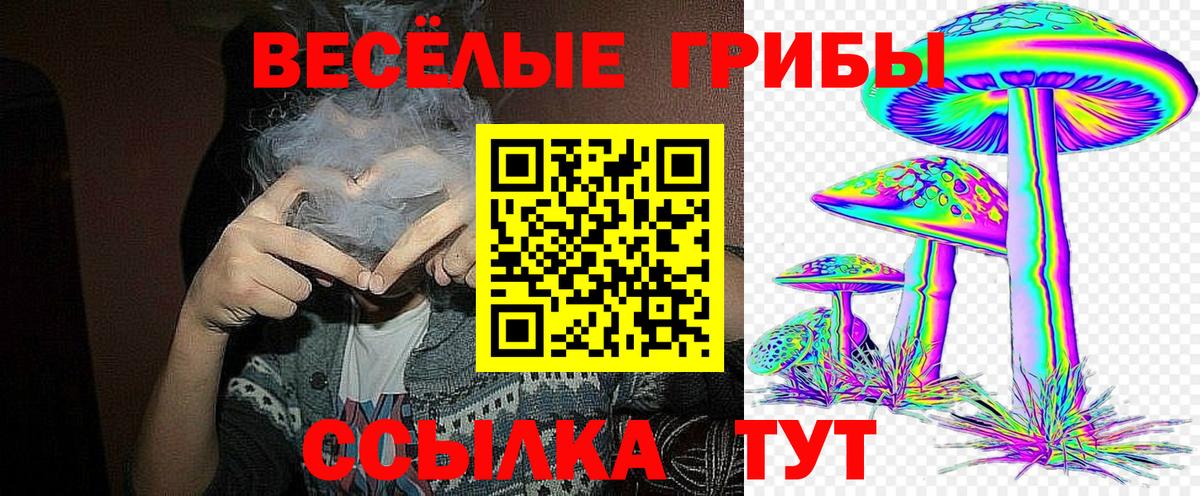 Кореновск  Псилоцибиновые грибы мухоморы  Вход с VPN 