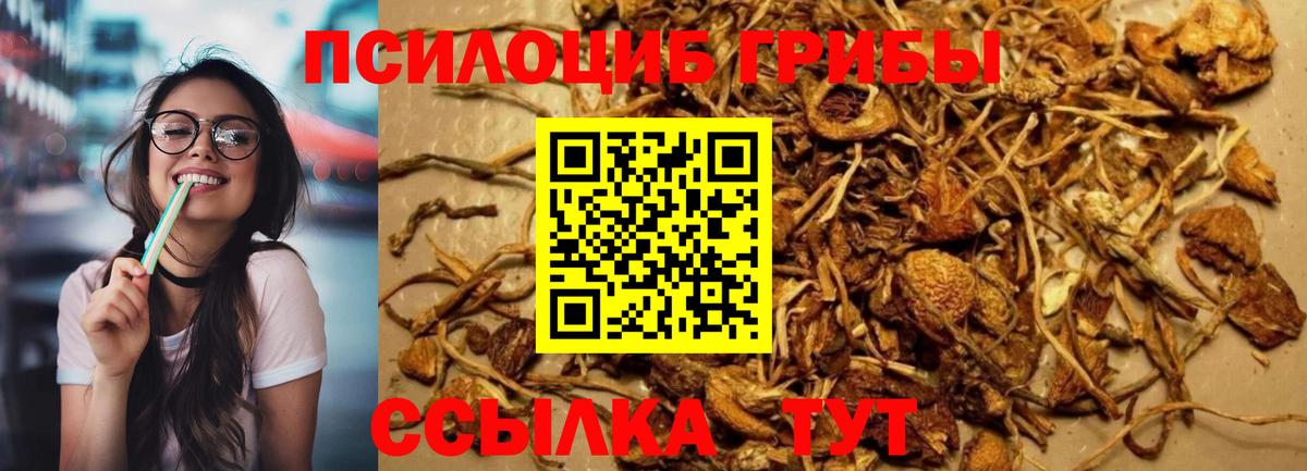 Галлюциногенные грибы мицелий Кореновск